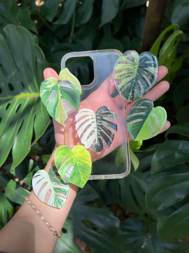 Rare Plant Collection