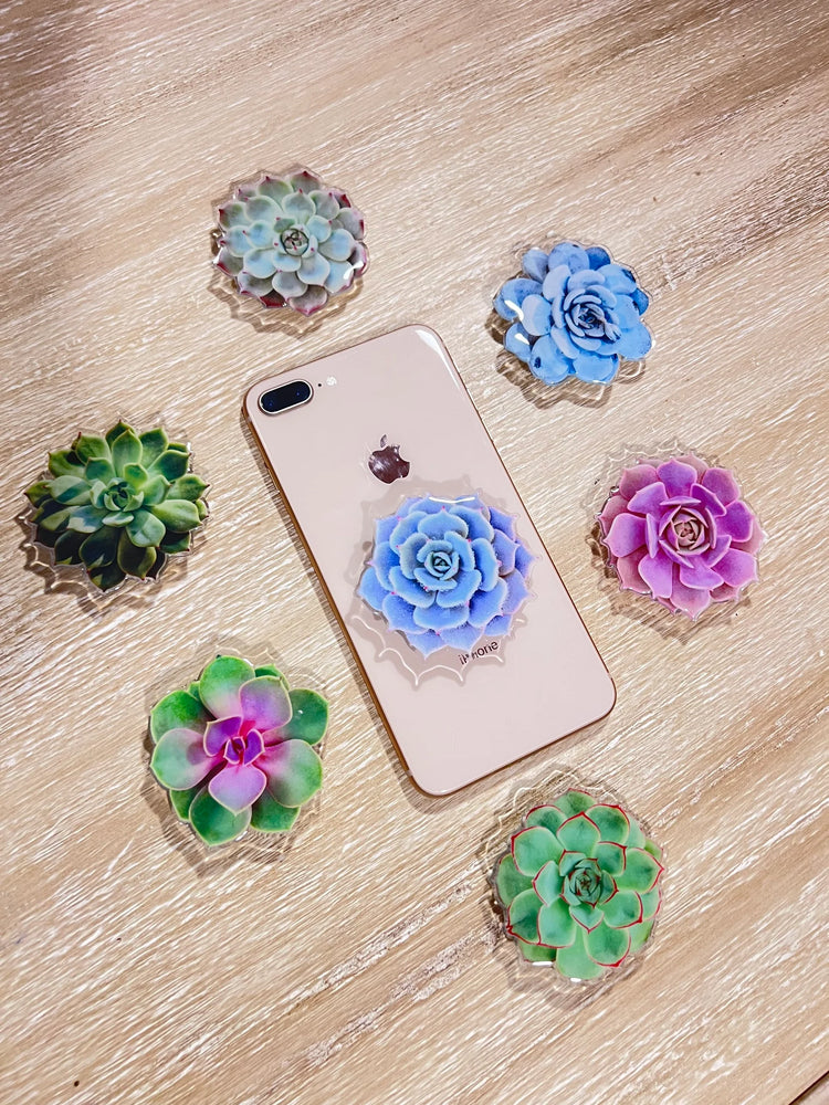 Succulent Collection