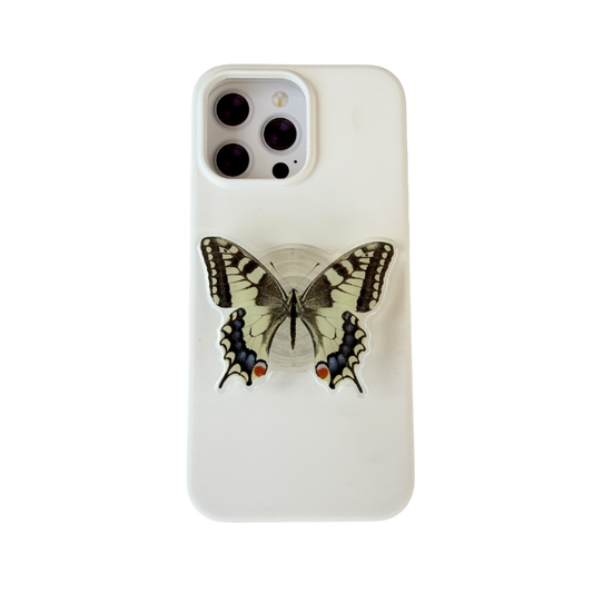 Old World Swallowtail Butterfly