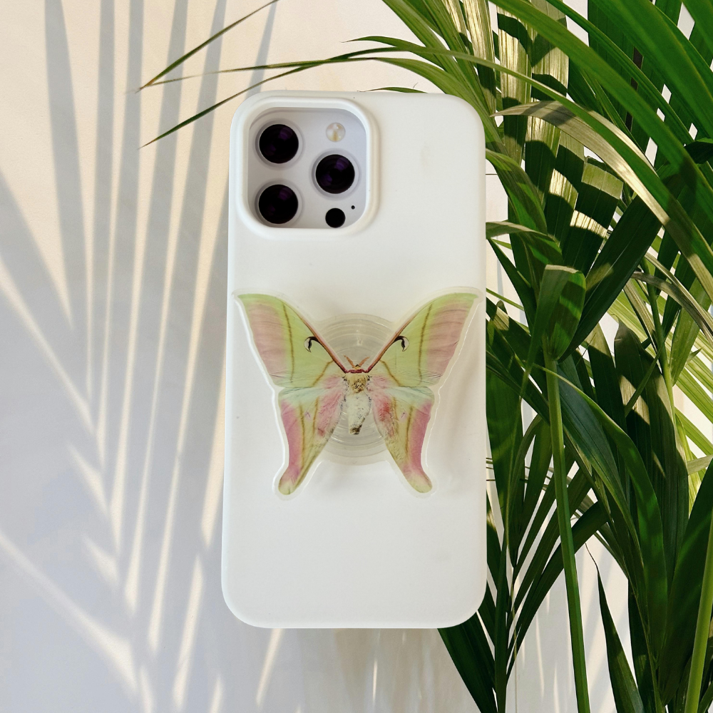 Chinese Moon Moth