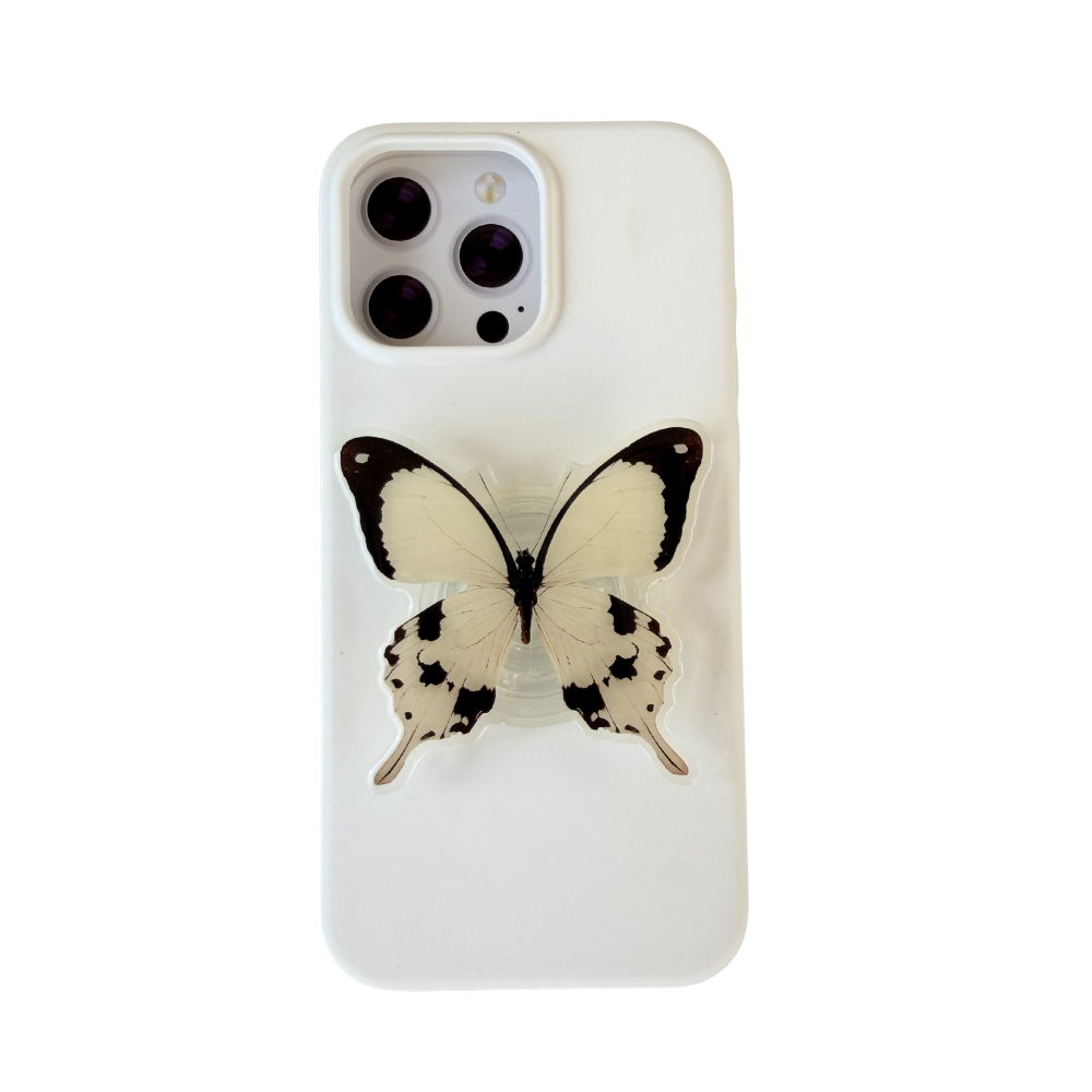 Mocker Swallowtail Butterfly