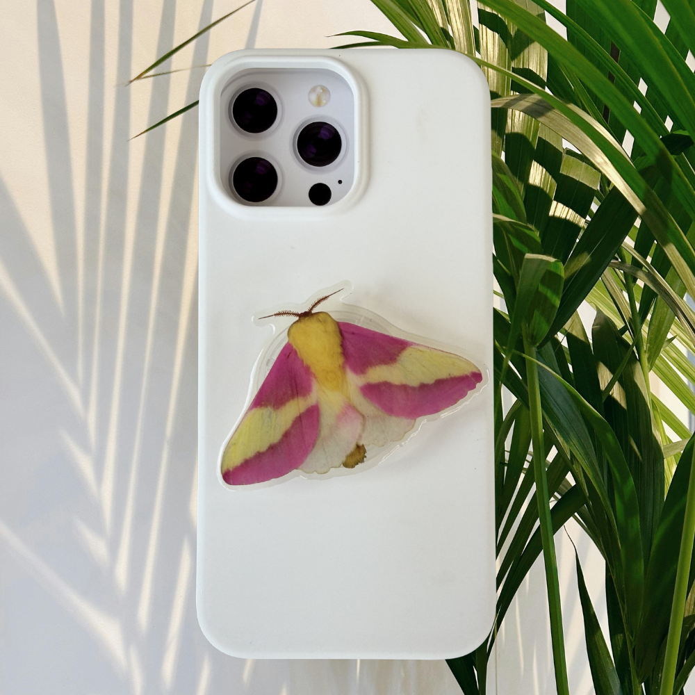 Rosy Maple Moth Phone Grip