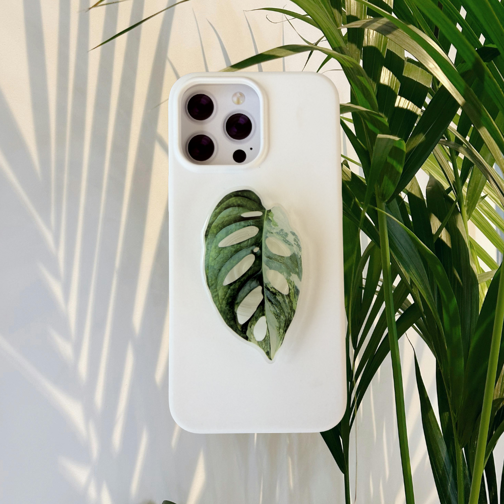 Variegated Monstera Adansonii Rare Plant Phone Grip