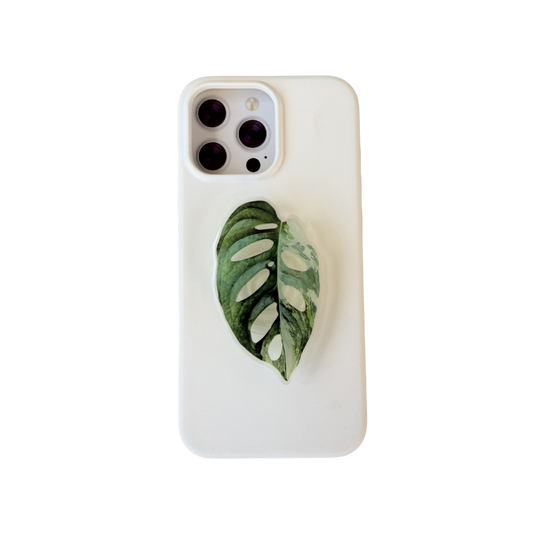 Variegated Monstera Adansonii Rare Plant Phone Grip