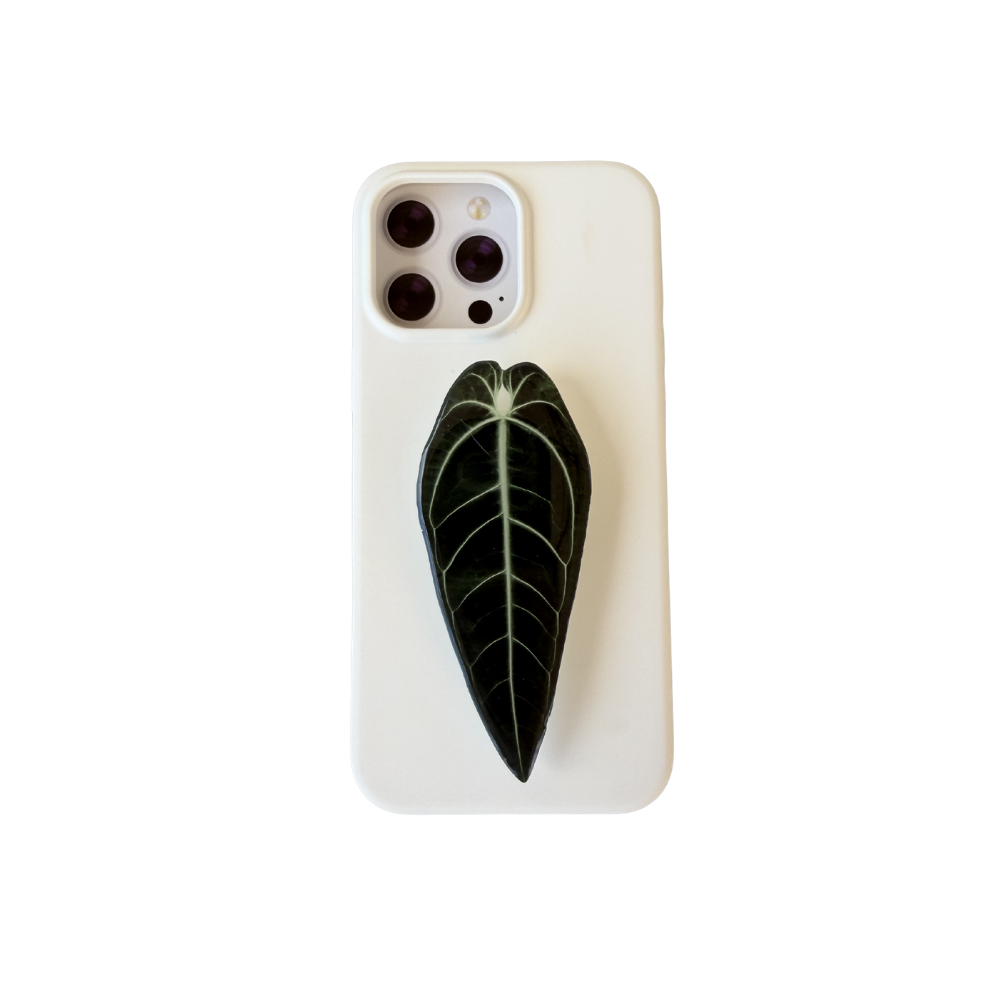 Queen Anthurium Warocqueanum Rare Plant Phone Grip