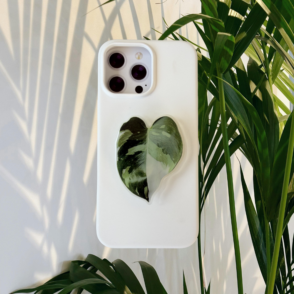 Philodendron White Princess Rare Plant Phone Grip