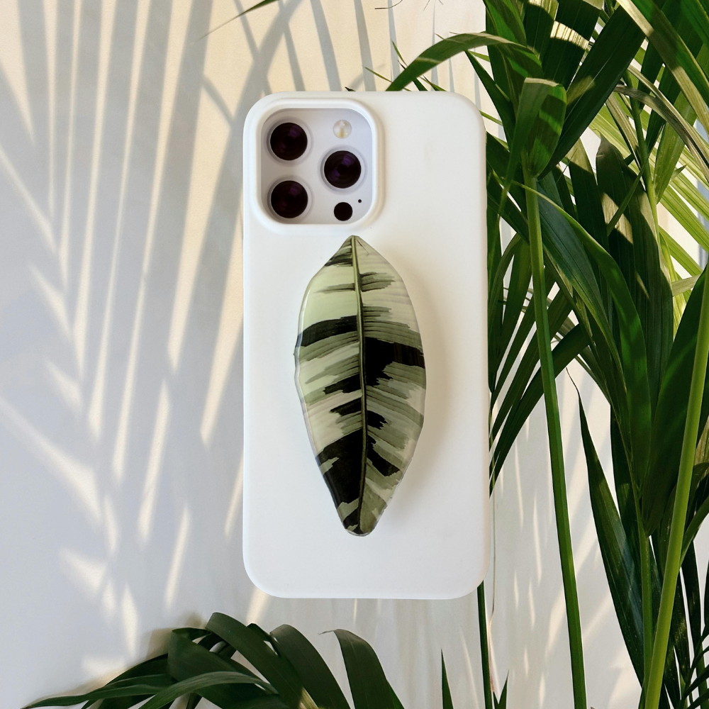 Variegated Banana Musa Aeae Rare Plant Phone Grip
