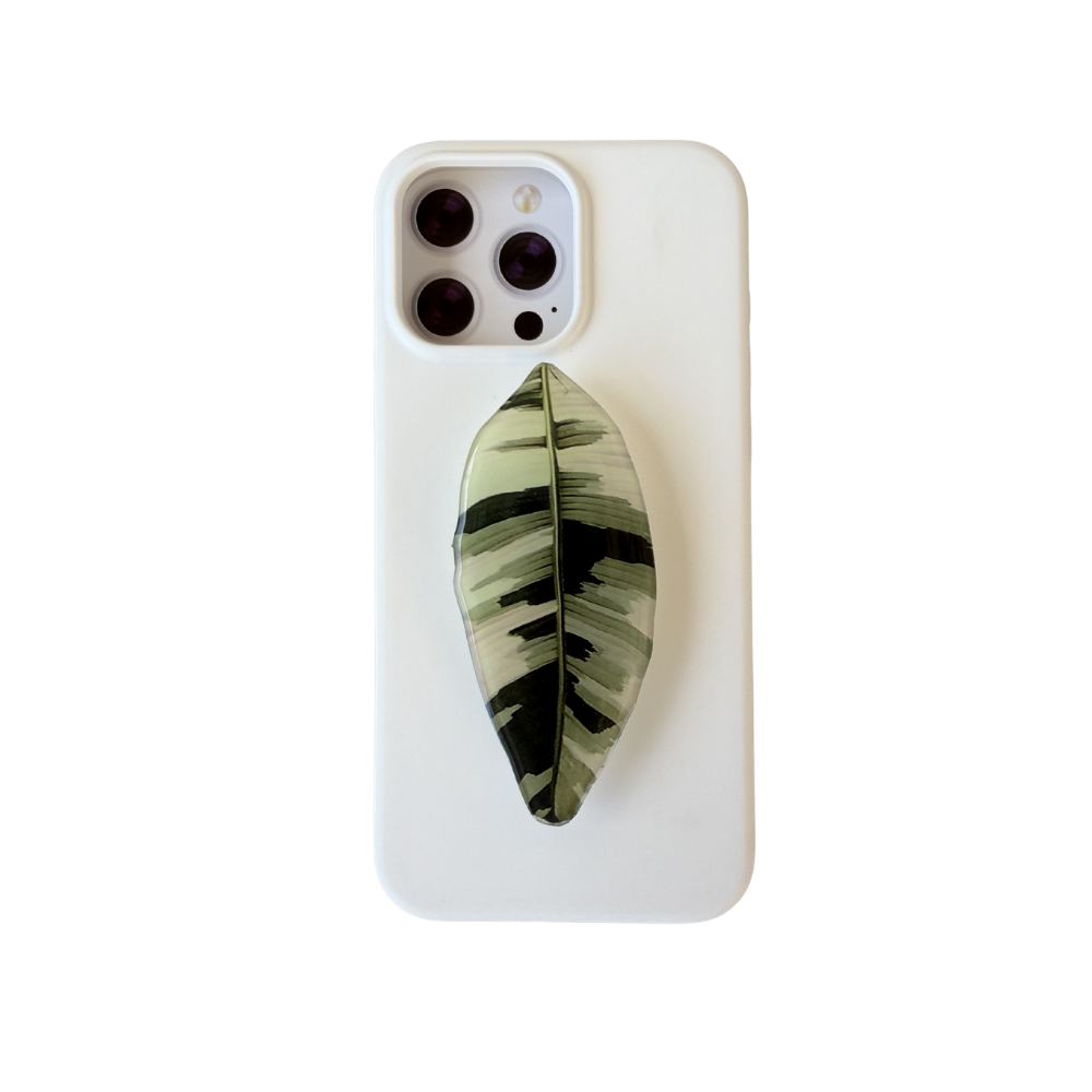 Variegated Banana Musa Aeae Rare Plant Phone Grip