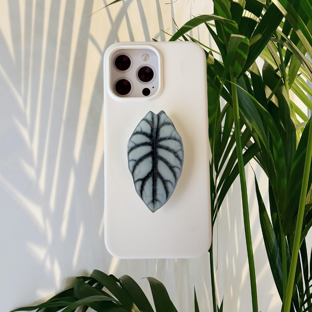 Alocasia Dragon Scale Rare Plant Phone Grip
