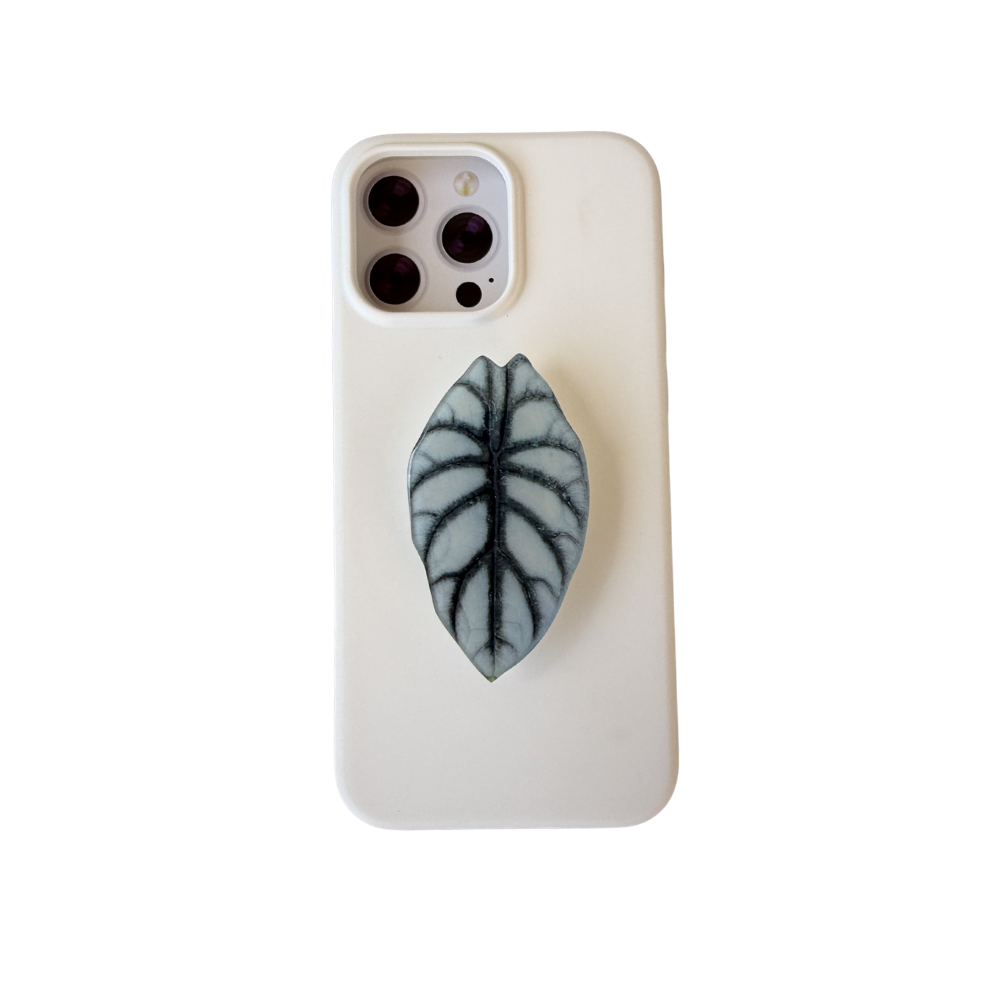 Alocasia Dragon Scale Rare Plant Phone Grip