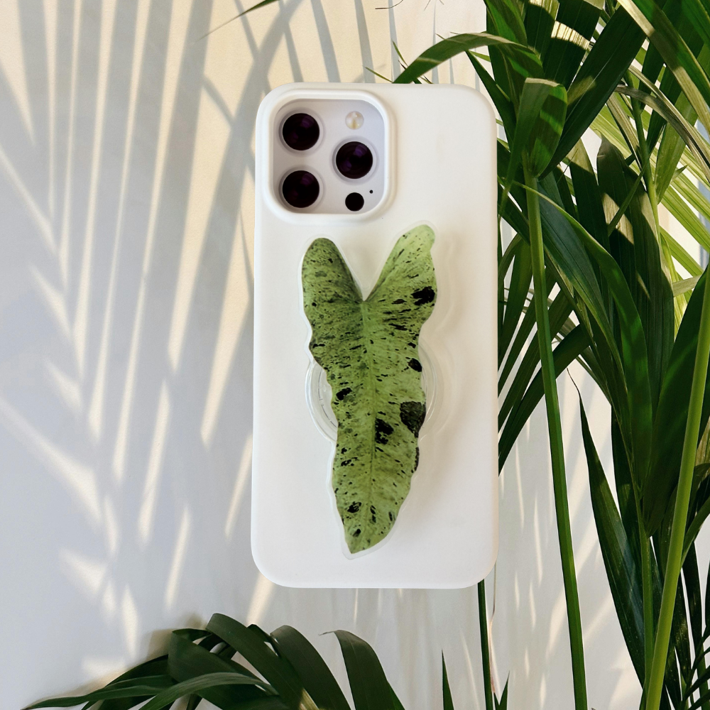 Philodendron Paraiso Verde Rare Plant Phone Grip