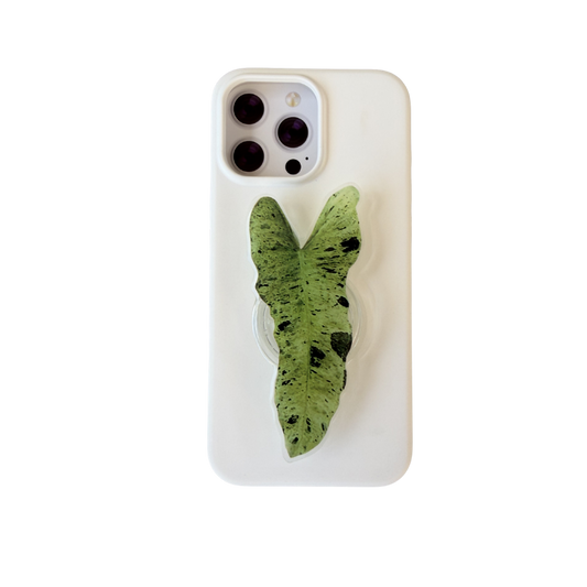 Philodendron Paraiso Verde Rare Plant Phone Grip