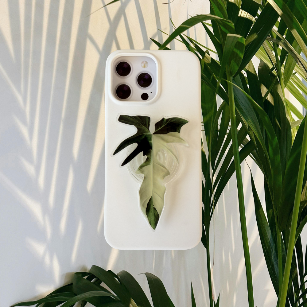 Philodendron Golden Dragon Rare Plant Phone Grip