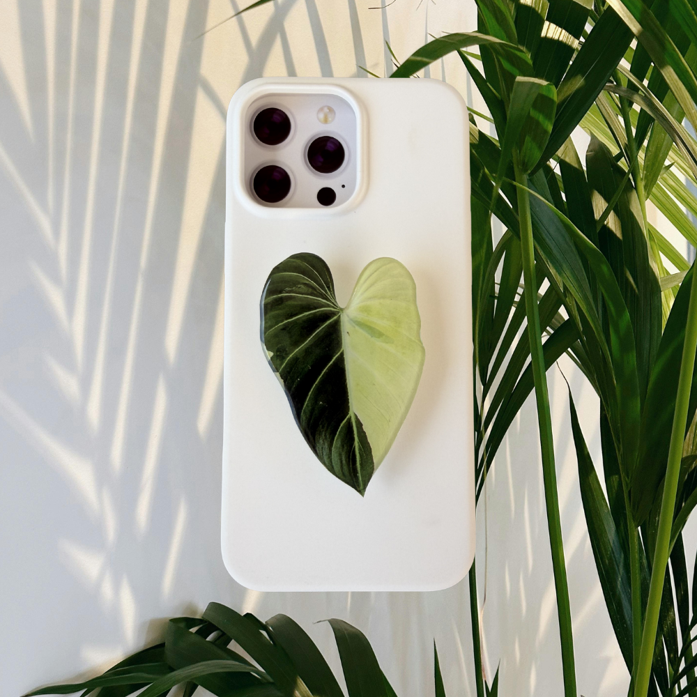 Variegated Gloriosum Rare Plant Phone Grip