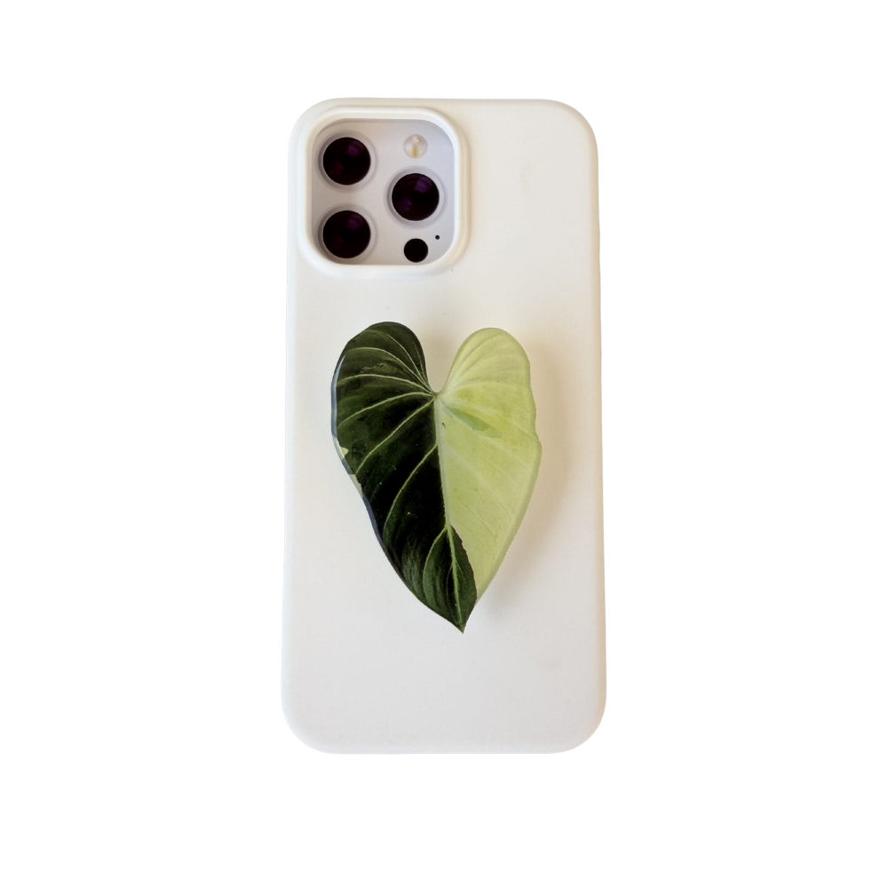 Variegated Gloriosum Rare Plant Phone Grip