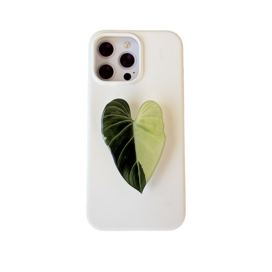 Variegated Gloriosum Rare Plant Phone Grip
