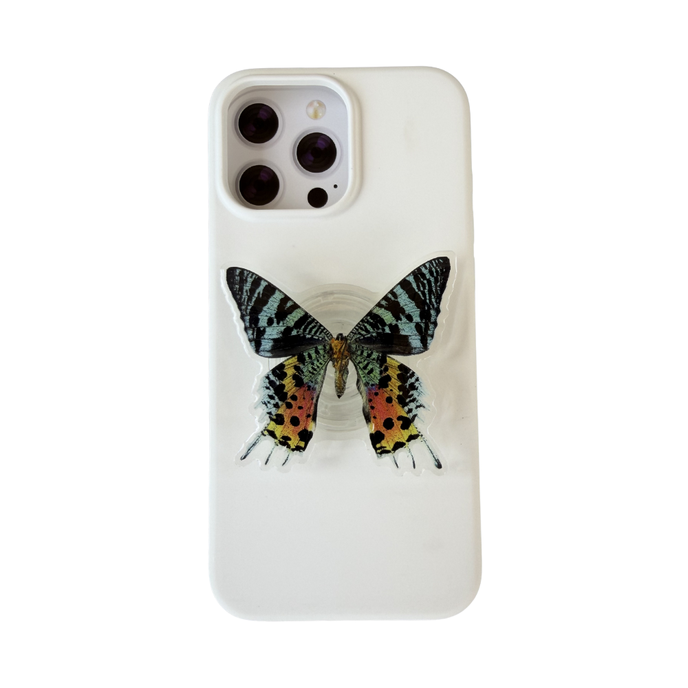 Sunset Moth