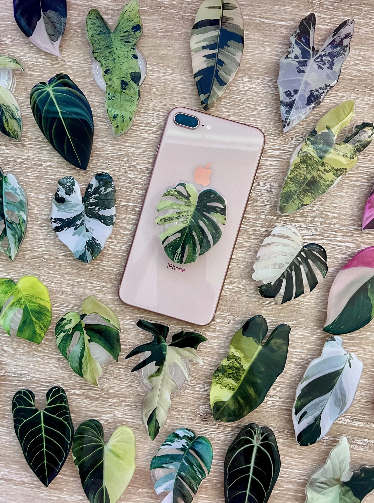 Rare Plant Phone Grip