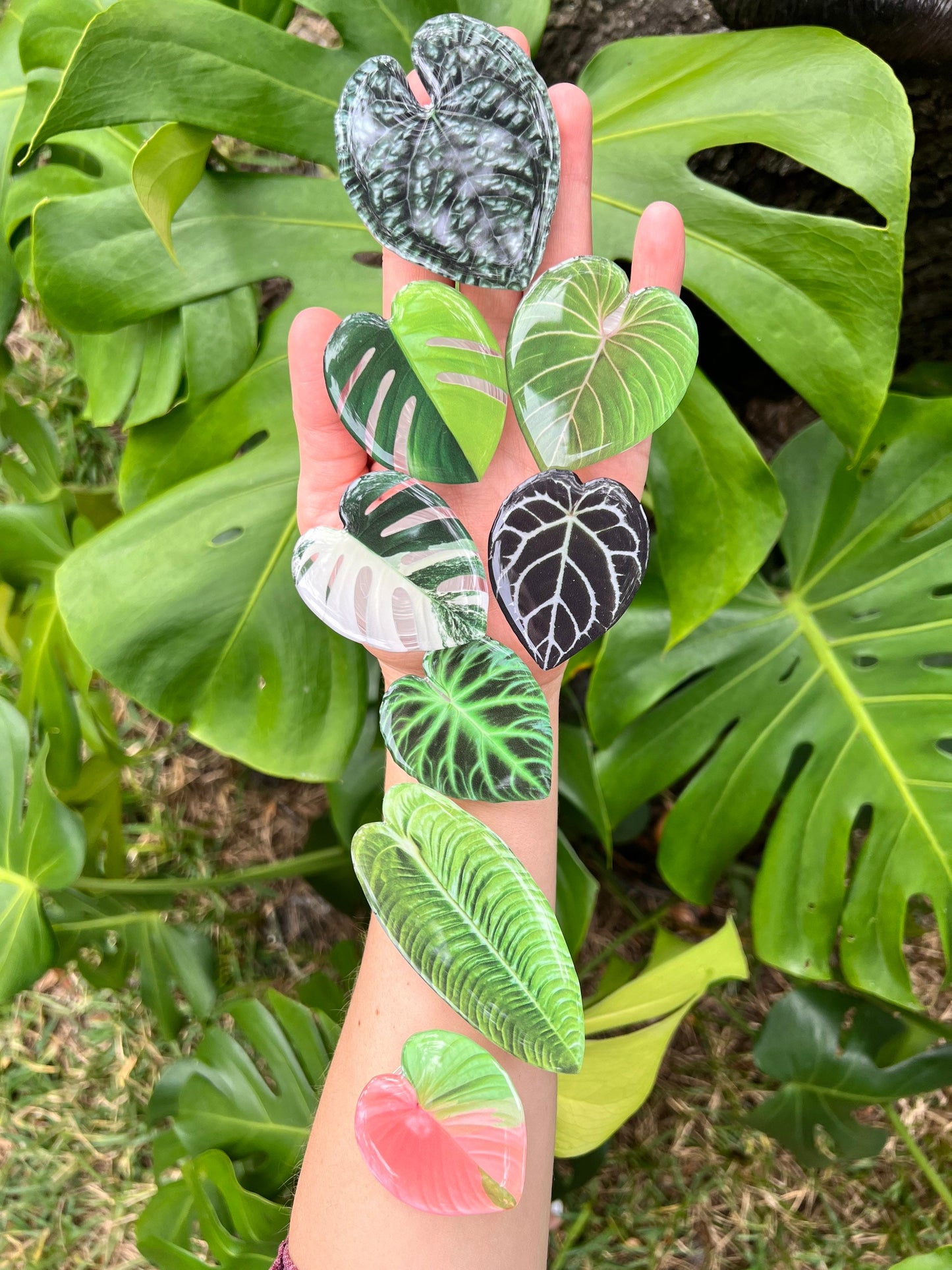 Rare Plant Phone Grip