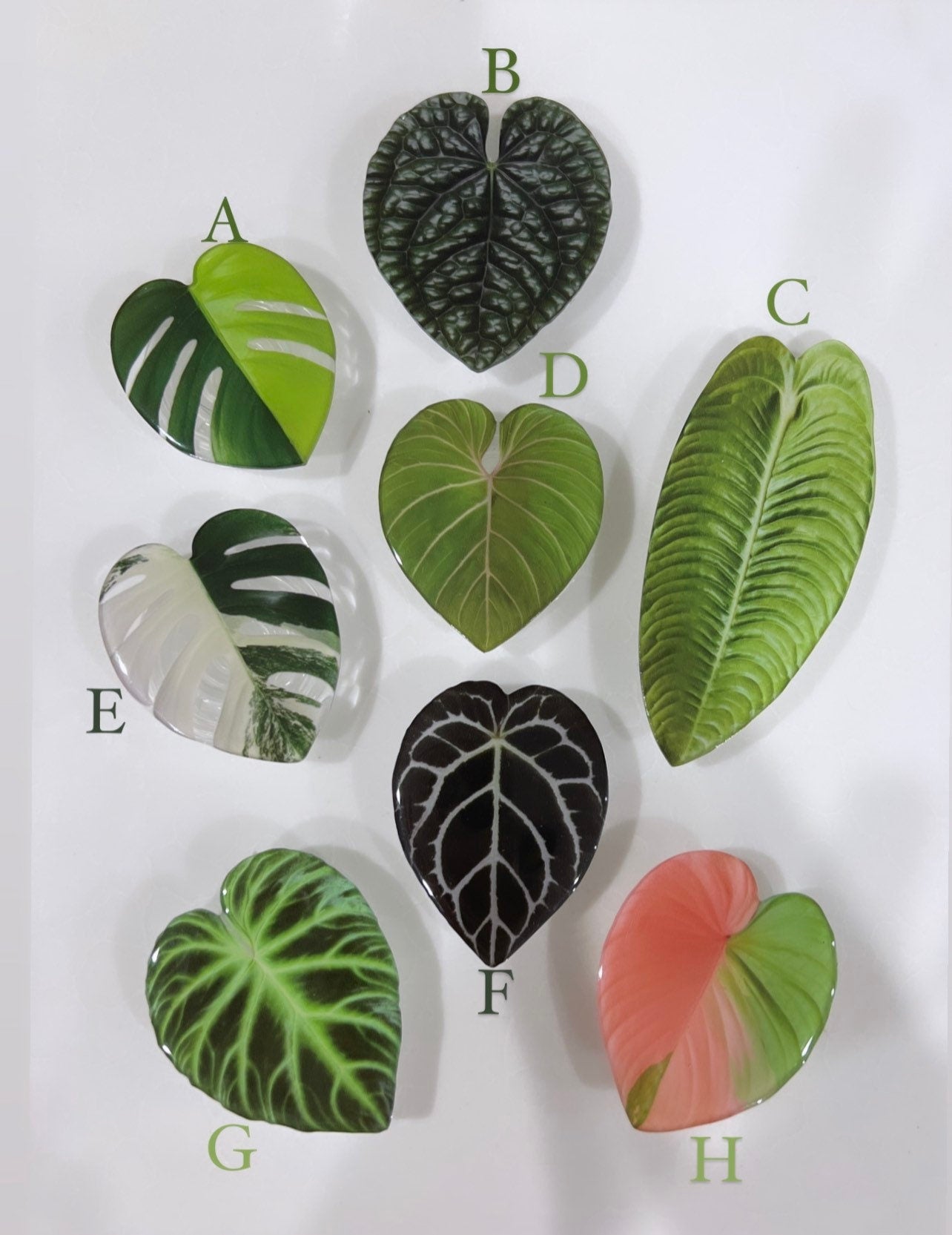 Rare Plant Phone Grip