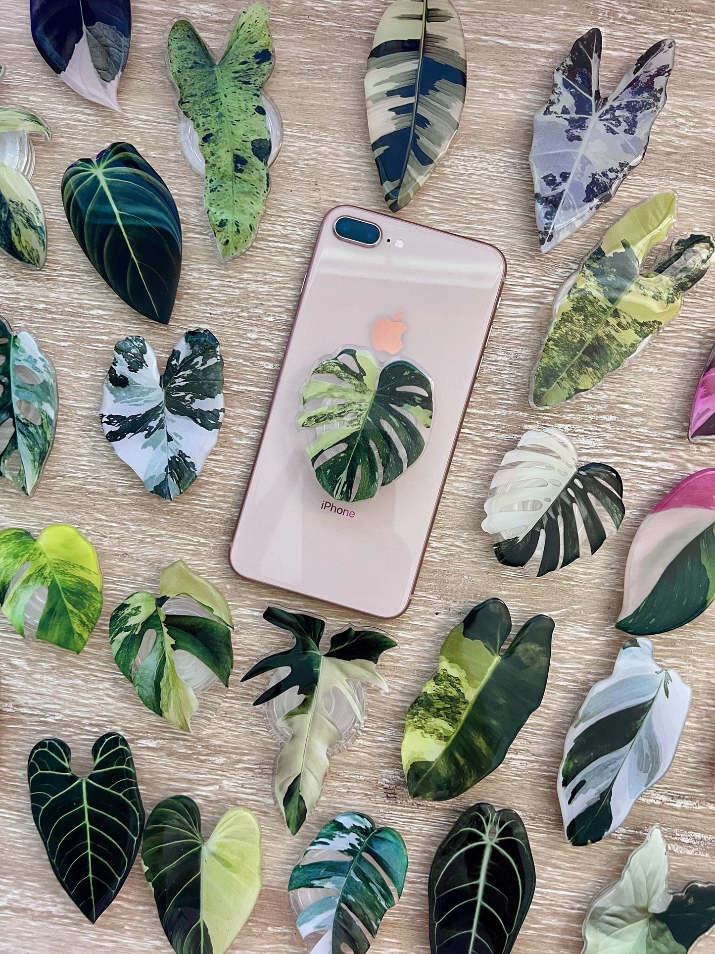 Philodendron Golden Dragon Rare Plant Phone Grip