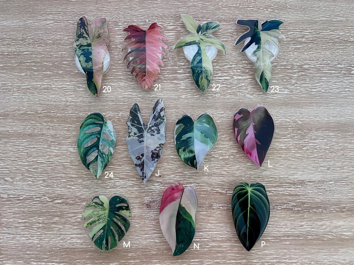 Rare Plant Phone Grip