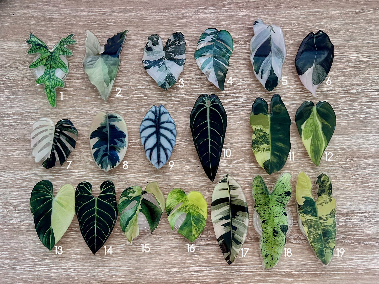 Rare Plant Phone Grip